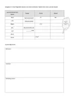 Vorschau - Arbeitsblätter - Erarbeitung und Übung Bildung von Ionen und Salzen - Seite 1