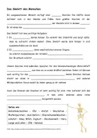 Vorschau - Arbeitsblätter - Das Skelett des Menschen - ein Arbeitsblatt mit Lückentext - Deckblatt