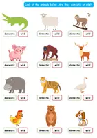Vorschau - Poster - English quiz for kids: Wild or domestic animals clipart / häuslich oder wilde Tiere - Seite 1