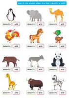 Vorschau - Poster - English quiz for kids: Wild or domestic animals clipart / häuslich oder wilde Tiere - Seite 3