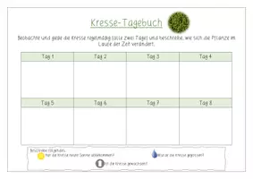 Vorschau - Arbeitsblätter - Natur und Technik - Kresse Beobachtungsbogen - Deckblatt