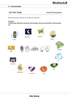 Vorschau - Arbeitsblätter - Die Sinne - Sehen, Hören, Riechen, Schmecken und Fühlen - Seite 2