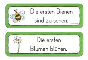 Vorschau - Arbeitsblätter - Laufdiktat / Schleichdiktat Frühling Klasse 2-3 - Seite 2