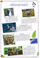 Vorschau - Arbeitsblätter - New Zealand’s animals and plants (Reading/Listening/Playing) - Flora & Fauna #edukilights22 - Seite 2