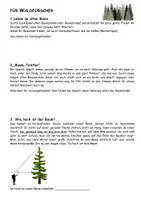 Vorschau - Unterrichtsreihen - Ein schöner Tag im Wald, fertig geplant: Komplettpaket mit Planung, Durchführung und Tipps - Seite 3