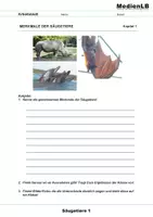 Vorschau - Arbeitsblätter - Säugetiere 1 - Wirbeltiere 5 - Seite 1