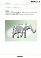 Vorschau - Arbeitsblätter - Säugetiere 1 - Wirbeltiere 5 - Seite 2