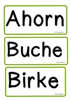 Vorschau - Bildkarten - Bild- Und Wortkarten Laubbäume - Seite 1