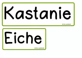 Vorschau - Bildkarten - Bild- Und Wortkarten Laubbäume - Seite 2