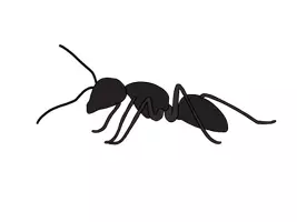 Vorschau - selbst erstellte Cliparts/Grafiken - Handgemalte Cliparts zum Thema "Anlaute" - Seite 3