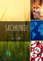 Vorschau - Stundenentwürfe - die 5 Sinne - Aufgaben, Spiele, Tafelmaterial - Deckblatt