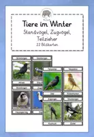Vorschau - Bildkarten - Vögel im Winter: Bildkarten mit Fotos, Namen und Strategie - Deckblatt