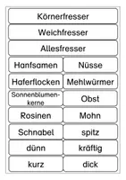 Vorschau - Arbeitsblätter - Vögel im Winter: Ernährung (Tafelmaterial, Bildkarten, ABBs) - Seite 1