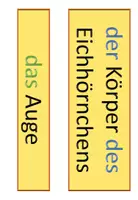 Vorschau - Arbeitsblätter - Das Eichhörnchen: 2. Stunde (Der Körper) - Seite 1