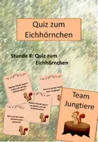 Vorschau - Arbeitsblätter - Das Eichhörnchen: 8. Stunde (Quiz) - Deckblatt