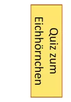 Vorschau - Arbeitsblätter - Das Eichhörnchen: 8. Stunde (Quiz) - Seite 1