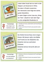 Vorschau - Bildkarten - Tiere - erste Sachtexte lesen und abschreiben - Seite 3