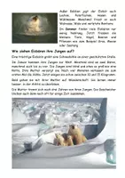 Vorschau - Stundenentwürfe - Lesetext zum Thema Eisbär, geeignet zum Erstellen von Referaten und Plakaten - Seite 3