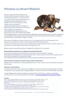Vorschau - Spiele - DaZ Bildkarten DaZ - BUNDLE - DaZ Wortschatz - Bildkarten zur Sprachförderung - 36 Themen-Sets - Bild- Wortkarten DIN A5 - Seite 2