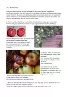 Vorschau - Text - Sachunterricht: "Äpfel" - Deckblatt