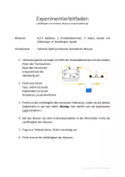 Vorschau - Stundenentwürfe - Experiment: Ionen und Ionenbindung anhand von NaCl - Seite 2