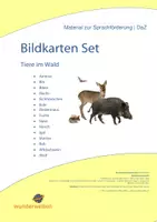 Vorschau - Fördermaterial/Inklusion - Waldtiere Bildkarten - Waldtiere Klasse 1 - Tiere im Wald Klasse 1 - 15 Bild-Wort-Karten für Lernspiele - DIN A5 - Fotokarten - Bildkarten - Deckblatt