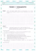 Vorschau - Stationenlernen - Stationsarbeit zu Enzymen - Deckblatt