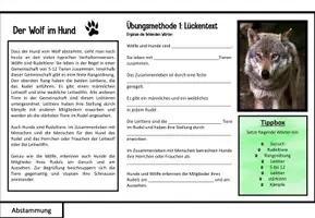 Vorschau - Arbeitsblätter - Lernportfolio zum Hund (Abstammung, Domestikation, Körpersprache, Sinnesorgane, Jagdverhalten) - Seite 3