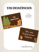 Vorschau - Unterrichtsreihen - Das Eichhörnchen: Poster, Unterrichtseinheit + Tafelmaterial - Deckblatt