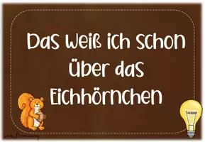 Vorschau - Unterrichtsreihen - Das Eichhörnchen: Poster, Unterrichtseinheit + Tafelmaterial - Seite 3