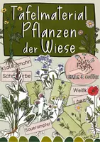 Vorschau - Präsentationen/Tafelbilder - Tafelmaterial Pflanzen der Wiese - Wiesenplanzen, Bild- & Textkarten - Deckblatt