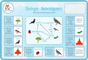 Vorschau - Arbeitsblätter - Ökologie: Nahrungsnetz – digitale Zuordnungsaktivität für Computer & iPad - Seite 1