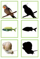 Vorschau - Arbeitsblätter - Heimtiere/ Haustiere: Komplettpaket - Seite 3