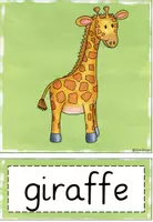 Vorschau - Bildkarten - wild animals flashcards - Seite 3