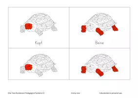 Vorschau - Stationenlernen - Teile einer Schildkröte-One Tree Montessori - Seite 3