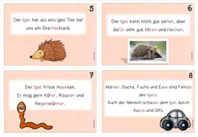 Vorschau - Fördermaterial/Inklusion - Abschreibkartei Igel - Seite 2