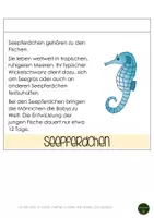 Vorschau - Fördermaterial/Inklusion - Flipbook Meerestiere - Seite 3