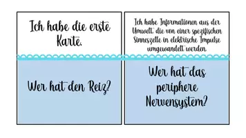 Vorschau - Spiele - Paket: Neurobiologie - Flipbook & Spiel - Seite 2