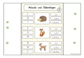 Vorschau - Spiele - 4-fach differenzierte Klammerkarten: Tiere - Seite 3