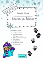 Vorschau - Unterrichtsreihen - Tiere im Winter: Spuren im Schnee - Lesekompetenz-Abenteuer - Grundschule Deutsch Sachunterricht Waschbär - Seite 1