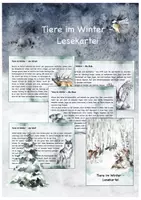 Vorschau - Arbeitsblätter - Materialpaket Tiere im Winter - Seite 1