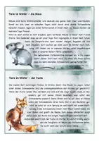 Vorschau - Arbeitsblätter - Materialpaket Tiere im Winter - Seite 2