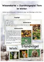 Vorschau - Spiele - Wissenskartei Tiere im Winter + Zuordnungsspiel - Deckblatt