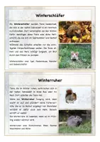 Vorschau - Spiele - Wissenskartei Tiere im Winter + Zuordnungsspiel - Seite 1