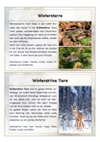 Vorschau - Spiele - Wissenskartei Tiere im Winter + Zuordnungsspiel - Seite 2