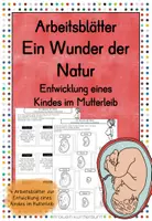 Vorschau - Arbeitsblätter - Arbeitsblätter Ein Wunder der Natur Entwicklung eines Kindes im Mutterleib - Deckblatt