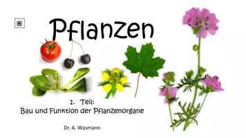 Vorschau - Unterrichtsreihen - Pflanzen - Seite 1