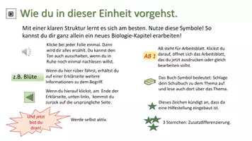 Vorschau - Unterrichtsreihen - Pflanzen - Seite 3