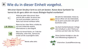Vorschau - Arbeitsblätter - Wasserhaushalt der Pflanzen - Seite 2