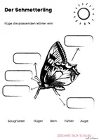 Vorschau - Arbeitsblätter - Arbeitsblätter Metamorphose Schmetterling - Deckblatt